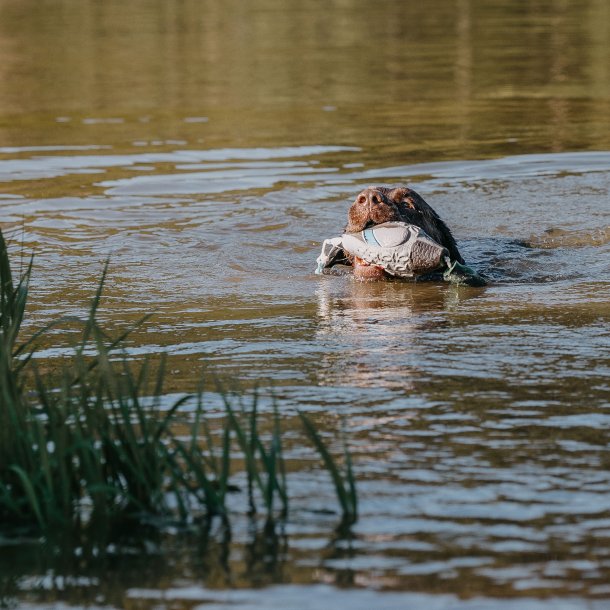 Grand Dummy til hundetrning