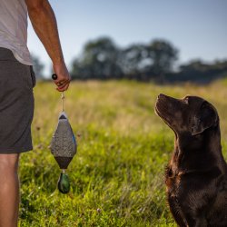 Grand Dummy til hundetrning