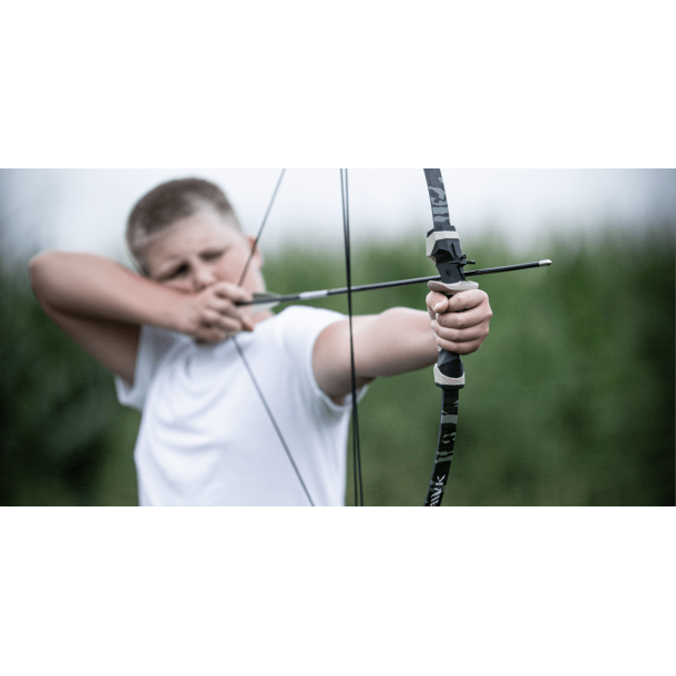 Barnett Compound bue Wildhawk