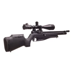 Reximex Daystar Thunder Snow