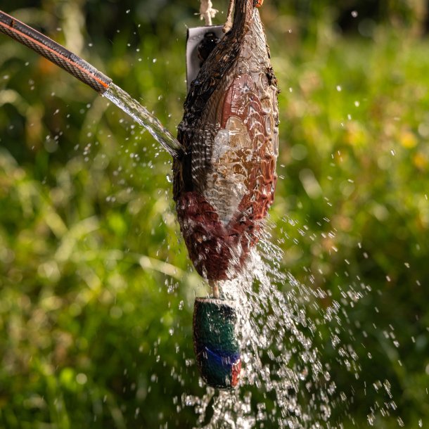 Fasan Dummy til hundetrning