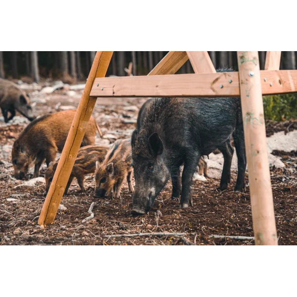 Nordic Gamekeeper 500L FeedCon foderautomat komplet