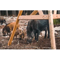 Nordic Gamekeeper 1000L FeedCon foderautomat komplet