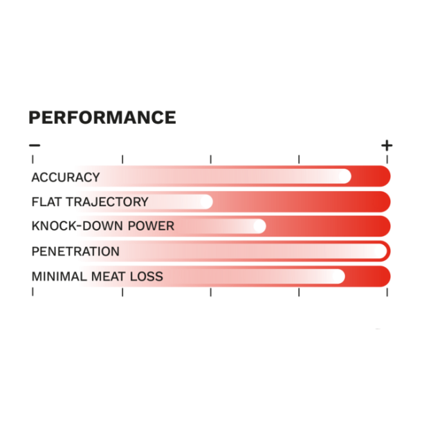 GECO PLUS 300 WIN.MAG. - 11,0gram - 170grain