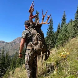 Skre Kaibab 150 Merino Uld Kortrmet T-Shirt