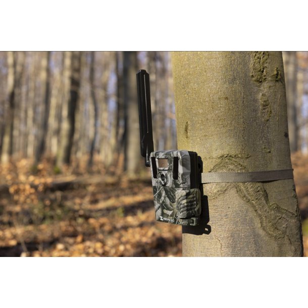 HIKmicro M15 4G Vildtkamera m/ Gratis MMS