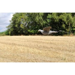 Mjlner Hunting Duesvupper