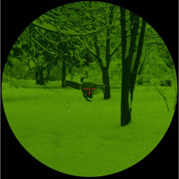 Pulsar Phantom 4x60 Gen 2+ natkikkert 