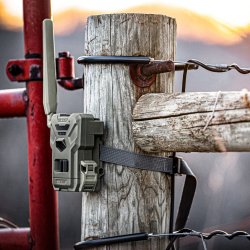 Spypoint FLEX-M TWIN Pack med 2x100 MMS gratis hver md. 