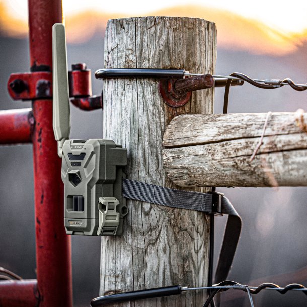 Spypoint FLEX-M TWIN Pack med 2x100 MMS gratis hver md. 