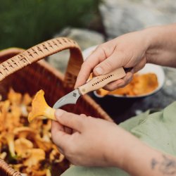 Svampe kniv med brste