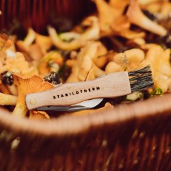 Svampe kniv med brste