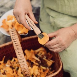 Svampe kniv med brste