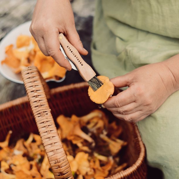 Svampe kniv med brste