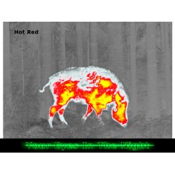 Pulsar Talion XG35 termisk sigtekikkert 