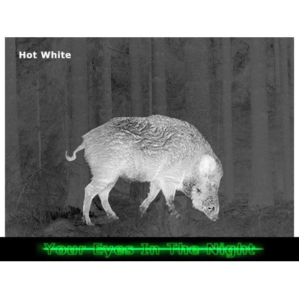 Pulsar Talion XG35 termisk sigtekikkert 