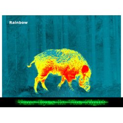 Pulsar Talion XG35 termisk sigtekikkert 