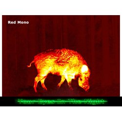 Pulsar Talion XG35 termisk sigtekikkert 