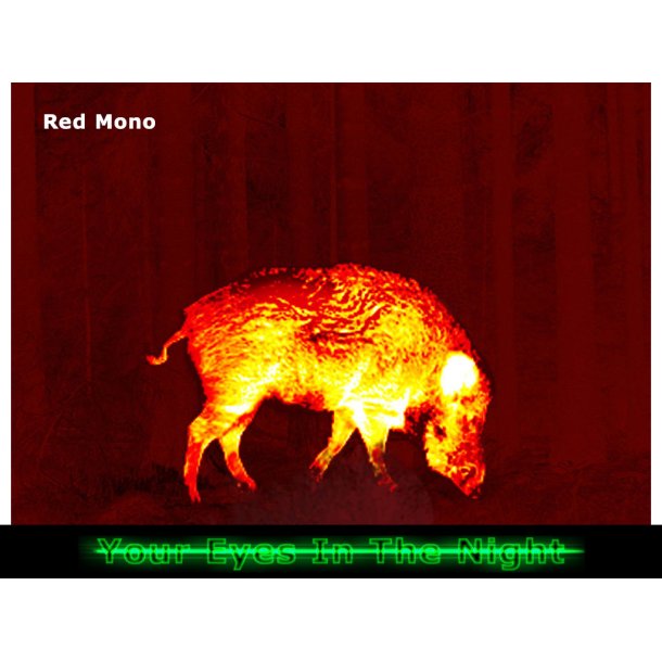 Pulsar Talion XG35 termisk sigtekikkert 