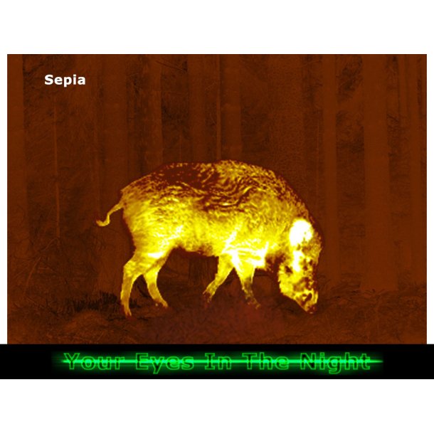 Pulsar Talion XG35 termisk sigtekikkert 