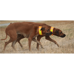 Niggeloh reflex halsbnd XS / 30-40 cm