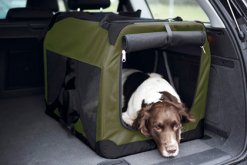 Seeland Hunde tilbehr
