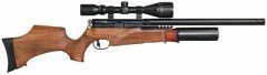 BSA